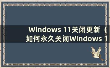 Windows 11关闭更新（如何永久关闭Windows 11更新）